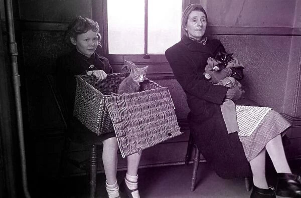 RSPCA Hospital. little girl with her sickly cat wait to see the vets