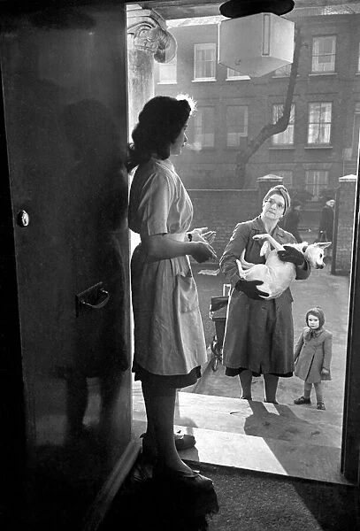 RSPCA Hospital. A woman and child carry their sick dog to the vets
