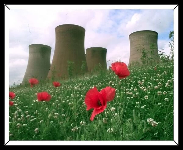 Rugeley power station surrounded by poppies