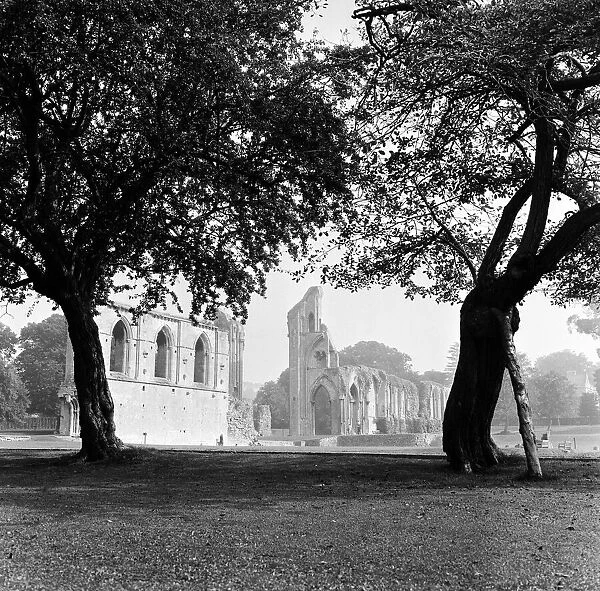 Ruins of Glastonbury Abbey in Somerset seen through two gnarled trees