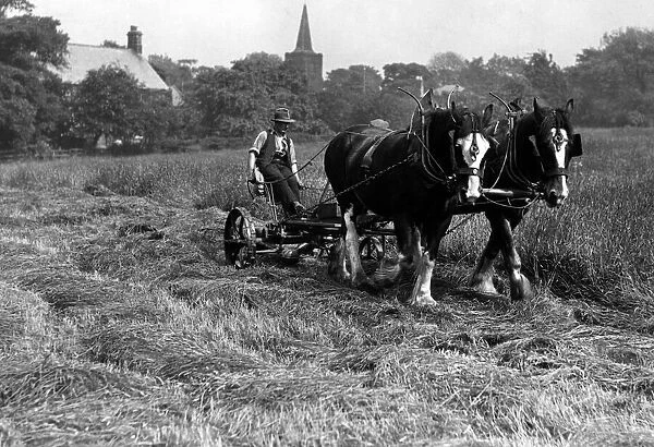 Rural Farming Scene, South Gosforth, Newcastle upon Tyne, England, 11th June 1937