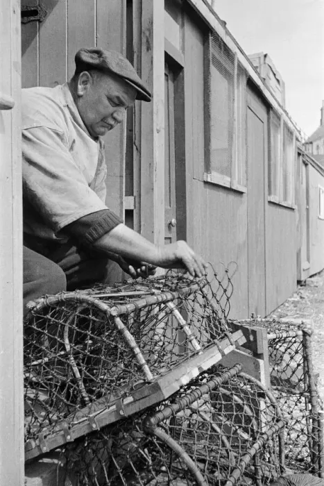 Framed Print : Rural scenes in North Yorkshire. Man repairing lobster pots. c. 1936 Framed Print : Rural scenes in North Yorkshire. Man repairing lobster pots. c. 1936