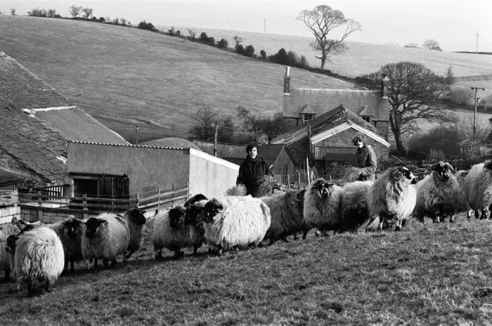 Framed Print : Russell Harty & close friend Madge Hindle, pictured at their farm house near the market Framed Print : Russell Harty & close friend Madge Hindle, pictured at their farm house near the market