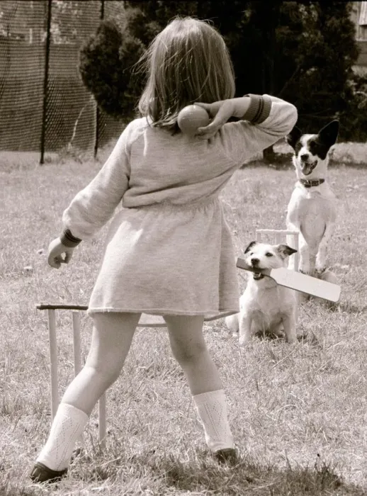 Framed Print : Russell the Jack Russell bats and Skinny bones is the wicket keeper