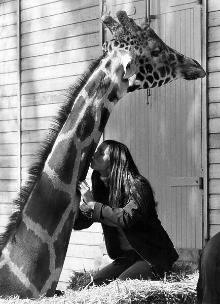 Ruth gives the big giraffe a kiss. September 1977 P011766