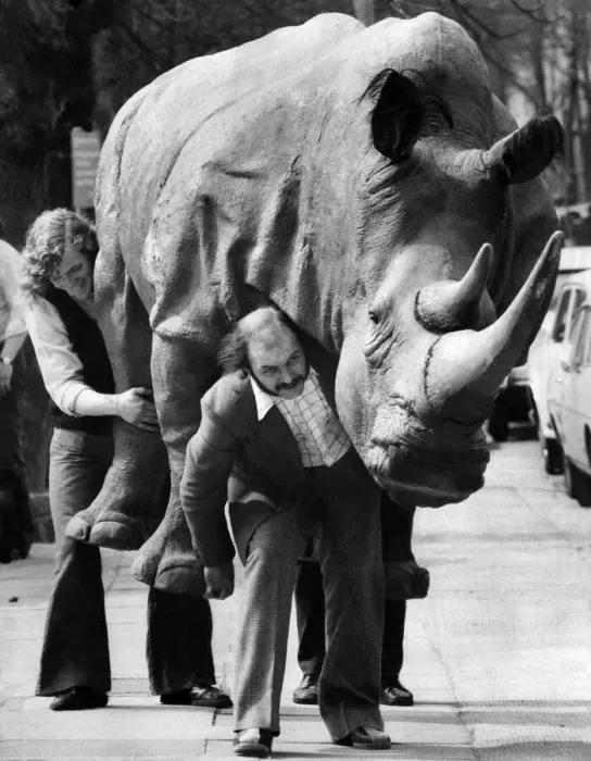 Framed Print : On Safari in London': A Rhino was seen running loose in London today Framed Print : On Safari in London': A Rhino was seen running loose in London today