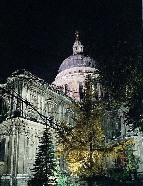 Saint Pauls Cathedral London at night