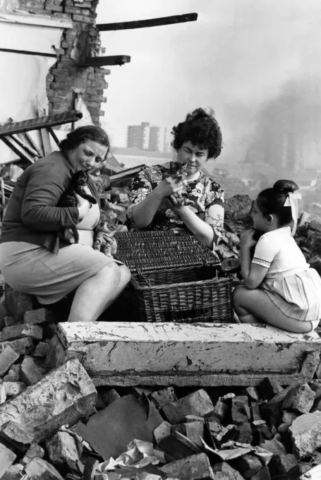 Framed Print : Two Salford women rescue kittens, cats and dogs from demolition areas Framed Print : Two Salford women rescue kittens, cats and dogs from demolition areas