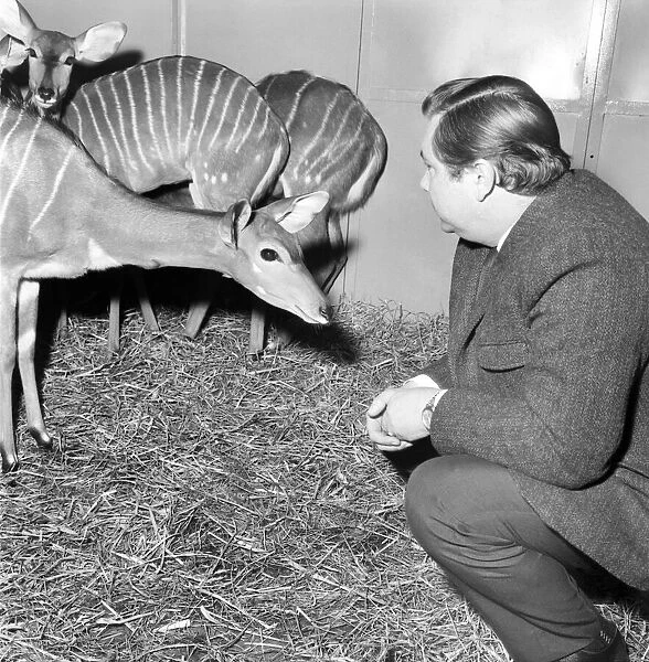 Salford Zoo. Rarest animals in the Salford quarantine zoo. January 1971 71-00145