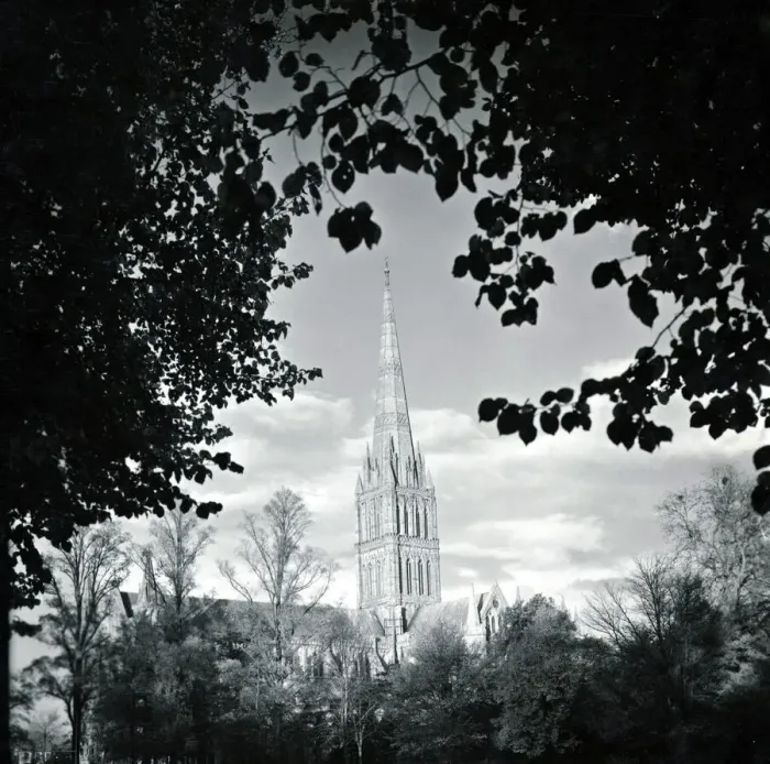 Framed Print : Salisbury Cathedral in Salisbury Wiltshire framed by the foliage of trees