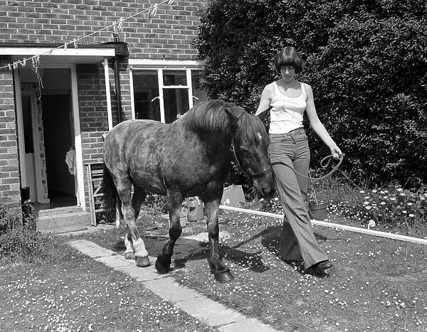 Sam the pet pony walking through his owners house to get through to his luxury stable at