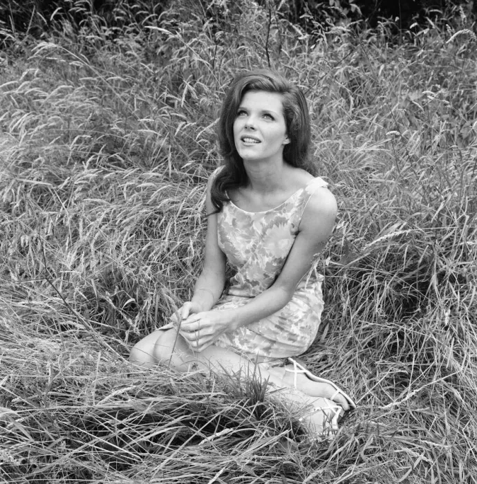 Framed Print : Samantha Eggar, British actress, pictured at Gabriels Manor Farm in Edenbridge Framed Print : Samantha Eggar, British actress, pictured at Gabriels Manor Farm in Edenbridge