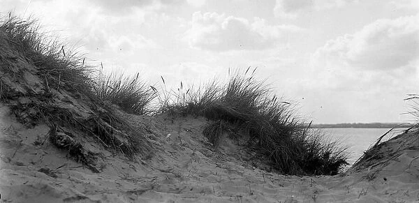 Sandhills at Mudeford in Dorset, August 1928 Alf 175