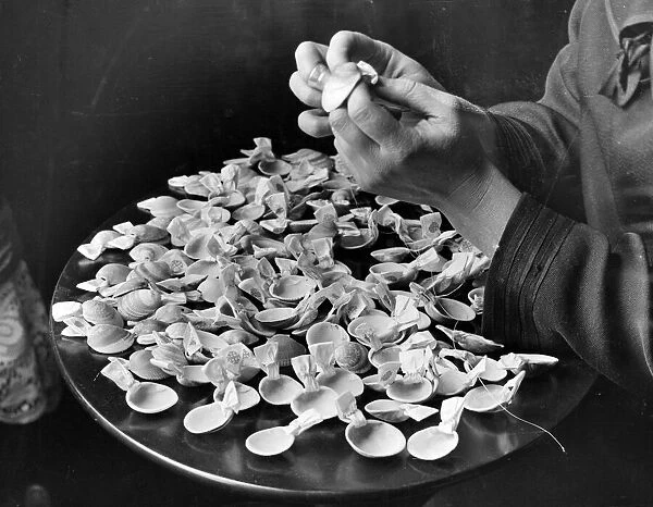 Scallop shells for pilgrims being prepared. 1st April 1925
