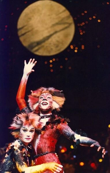 A scene from the musical Cats