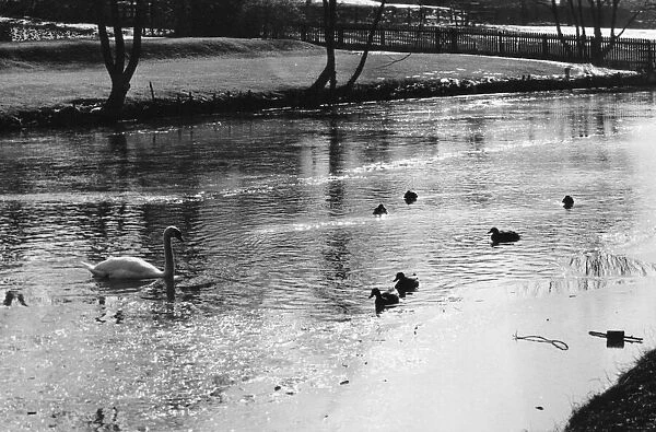 Scenes on the frozen River Cam in Cambridge during a cold winter spell. Circa 1975