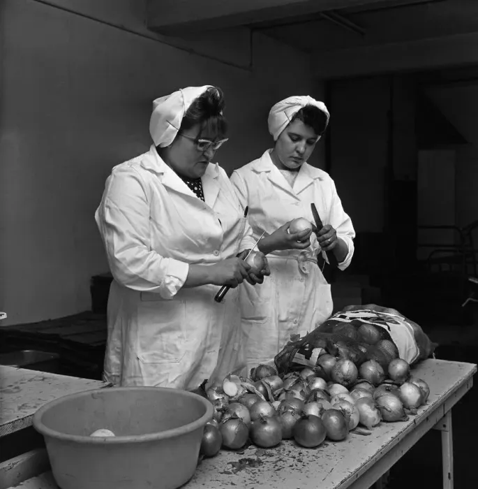 Framed Print : Scenes inside Robinsons Tripe factory in Hull Onions are chopped. 3rd October 1966 Framed Print : Scenes inside Robinsons Tripe factory in Hull Onions are chopped. 3rd October 1966