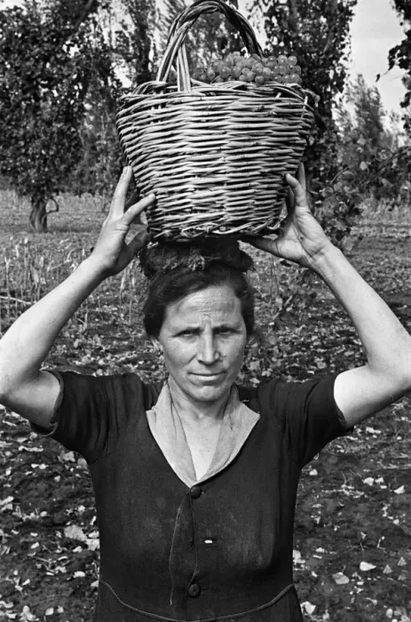 Framed Print : Scenes in Naples, southern Italy showing a local woman with a basket full of grapes which