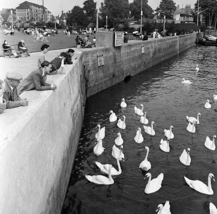 Framed Print : Scenes along the River Thames between Kew and Hammersmith, London. August 1954 Framed Print : Scenes along the River Thames between Kew and Hammersmith, London. August 1954