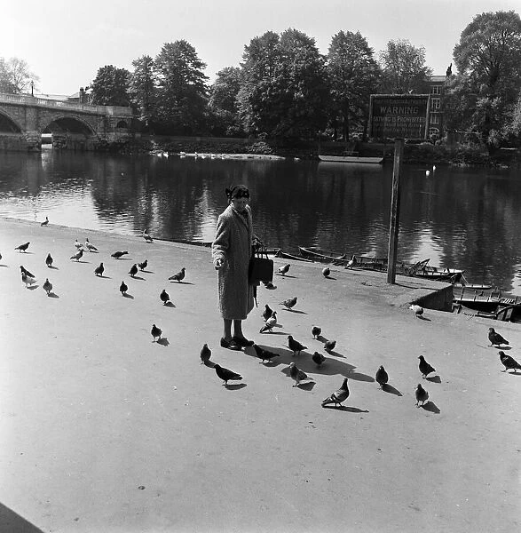 Scenes along the River Thames near Richmond. 18th May 1955