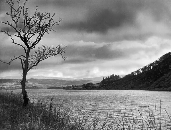 Scenic view of Loch Awe with rolling clouds and bare winter tree. 3rd February 1945