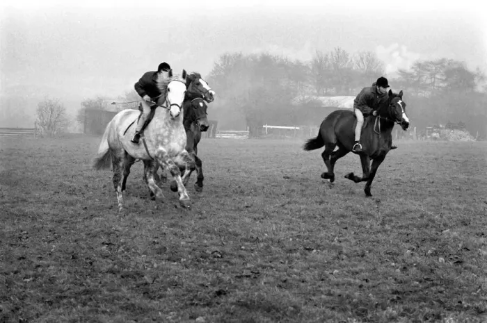 Framed Print : School for training jockey. The apprentices training centre for jockeys is at Kenilworth Framed Print : School for training jockey. The apprentices training centre for jockeys is at Kenilworth