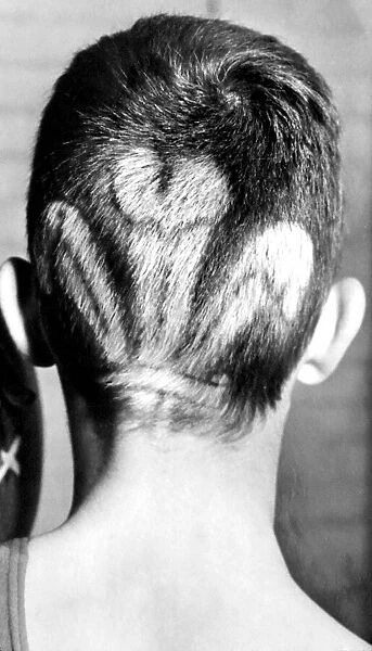 Schoolboy boxing champion Gavin Jacobs patriotic hairstyle knocked out his opponents
