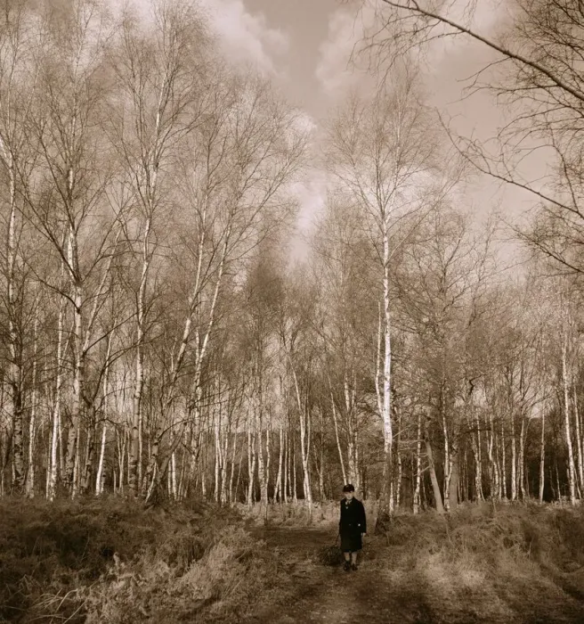 Framed Print : A schoolboy walking home through Cassiobury Park in Watford circa 1950s england