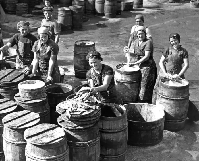 Framed Print : Scottish fisher girls packing herrings for export trade at North Shields fish Quay
