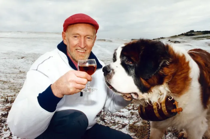 Framed Print : Scottish mountaineer Hamish MacInnes with Hamilton the St Bernard dog. Circa 1992
