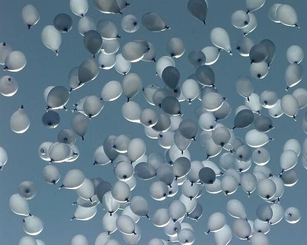 A sea of blue balloons, representing the number of deaths caused by drink drive related