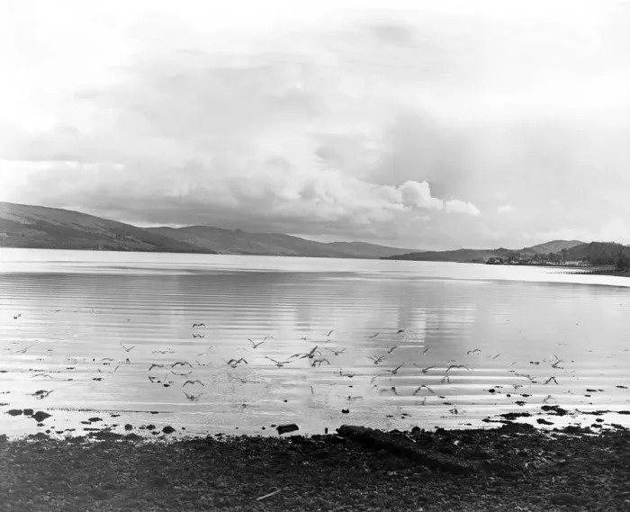 Framed Print : The seabirds are the only sign of life as they hover over the corrugated like waters of Framed Print : The seabirds are the only sign of life as they hover over the corrugated like waters of