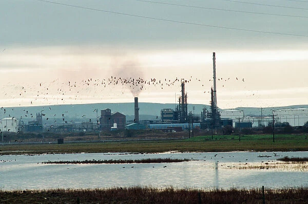 Seal Sands, Middlesbrough, 7th February 1993. Industrial Park viewed from near the Cowpen