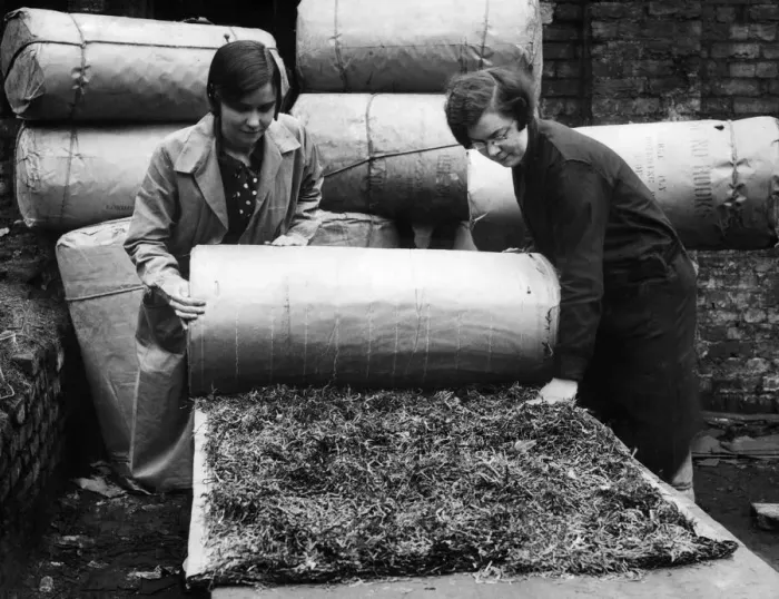 Framed Print : Seaweed used to deaden sound in workshops and public buildings is the latest device to Framed Print : Seaweed used to deaden sound in workshops and public buildings is the latest device to