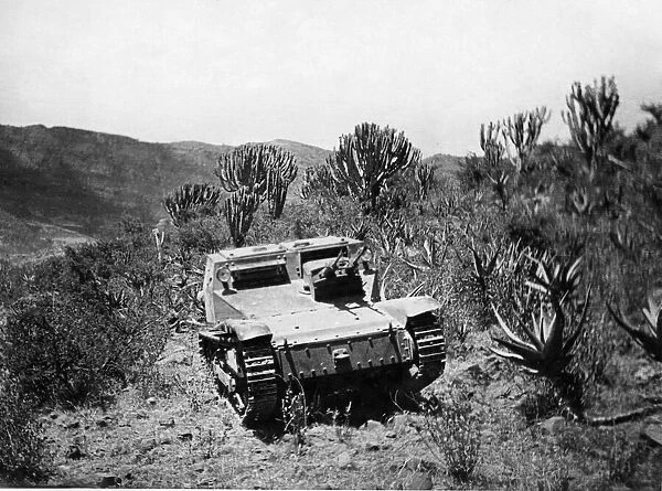 Second Abyssinian War April 1935 A Carro Veloce (CV