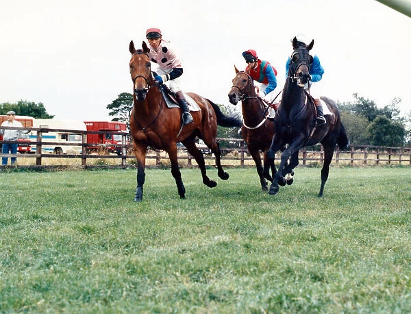 Sedgefield Racecourse is a horse racing course located south of the city of Durham