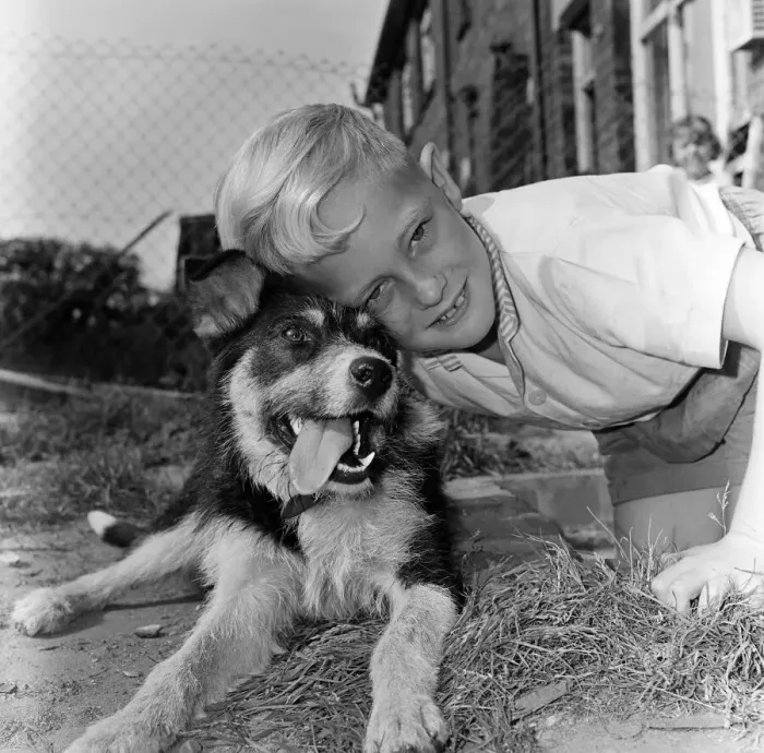 Framed Print : Seven-year-old Peter Whybrow, of Shaw, with Lucky the dog, who was abandoned Framed Print : Seven-year-old Peter Whybrow, of Shaw, with Lucky the dog, who was abandoned