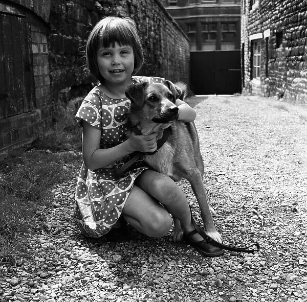 Seven-year-old Sheena Broom with the Corgi cross puppy which was found watching lorries