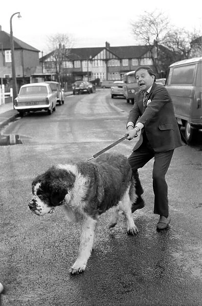 Shane the St. Bernard dog with Derek Roy, Britains biggest dog goes into showbiz