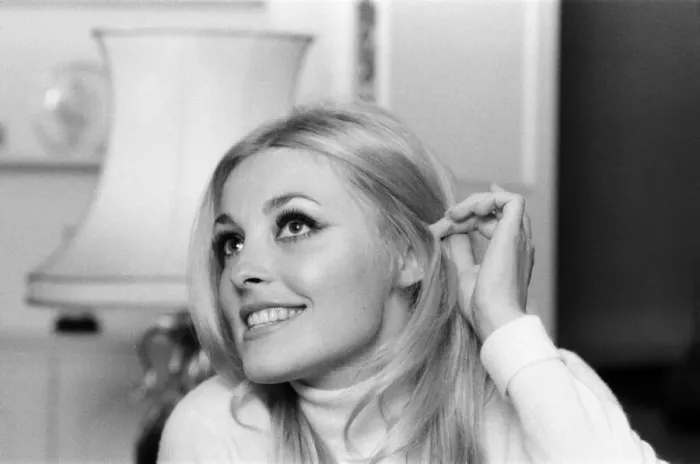 Framed Print : Sharon Tate, Actress and Model, aged 22 years old, pictured at her apartment in Belgravia Framed Print : Sharon Tate, Actress and Model, aged 22 years old, pictured at her apartment in Belgravia