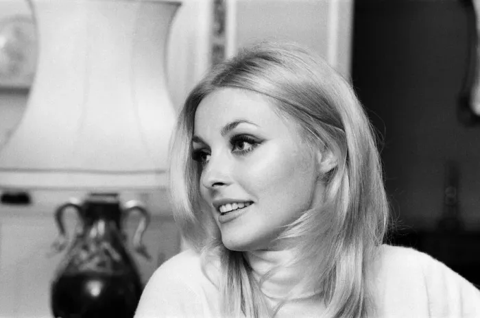 Framed Print : Sharon Tate, Actress and Model, aged 22 years old, pictured at her apartment in Belgravia Framed Print : Sharon Tate, Actress and Model, aged 22 years old, pictured at her apartment in Belgravia