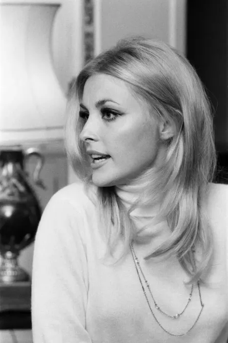 Framed Print : Sharon Tate, Actress and Model, aged 22 years old, pictured at her apartment in Belgravia Framed Print : Sharon Tate, Actress and Model, aged 22 years old, pictured at her apartment in Belgravia