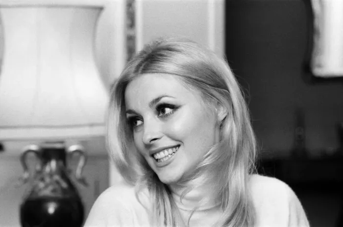 Framed Print : Sharon Tate, Actress and Model, aged 22 years old, pictured at her apartment in Belgravia