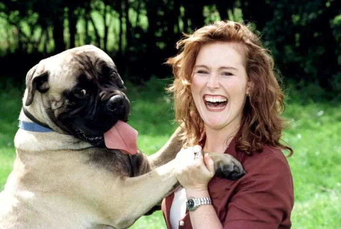 Framed Print : Shauna Lowry TV Presenter with Shamus the Bull Mastive Dog who weighs 10 stone