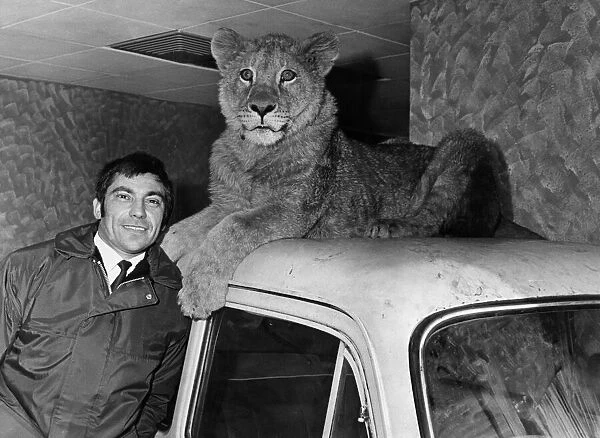 Sheba the lioness with Norman Harvey at his Cardiff garage. March 1969