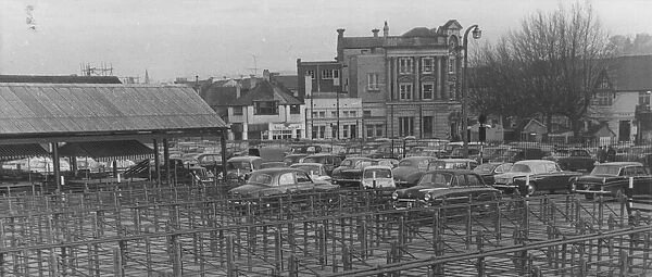 Sheep pens at Newton Abbot market in the 1950s