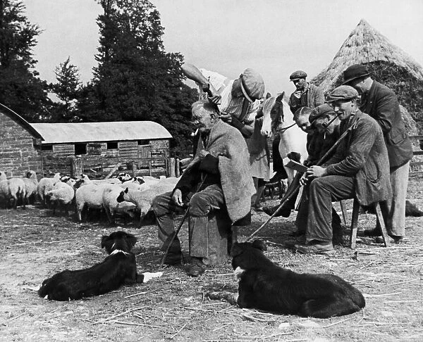 Shepherd Hairdressing Farm labourers in the hills of Shropshire were growing