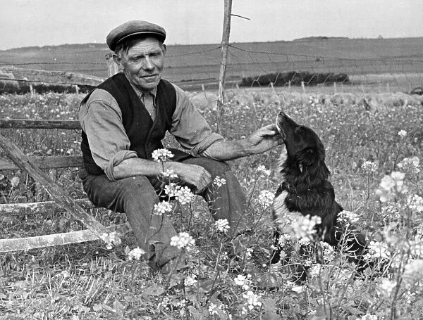 Shepherd Tom Goodban with his sheepdog, Dover. September 1944