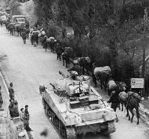 Sherman tank overtakes Italian Pack Mule company moving up through Legare Italy