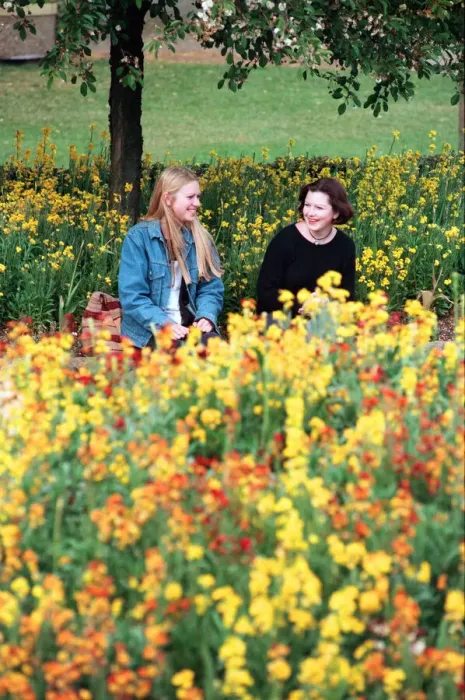 Framed Print : Shipston-on-Stour, Warwickshire, prepares for Britain in Bloom. 18th May 1995